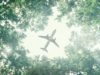 A plane flying over a forest