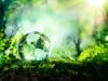 green sustainable globe