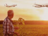 Senior farmer standing in soybean field examining crop at sunset